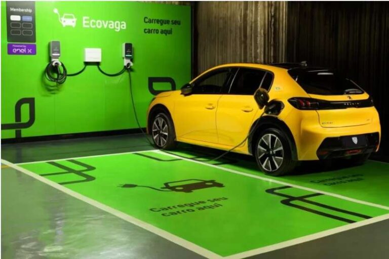 E se o Brasil tiver 1 milhão de carros elétricos rodando?