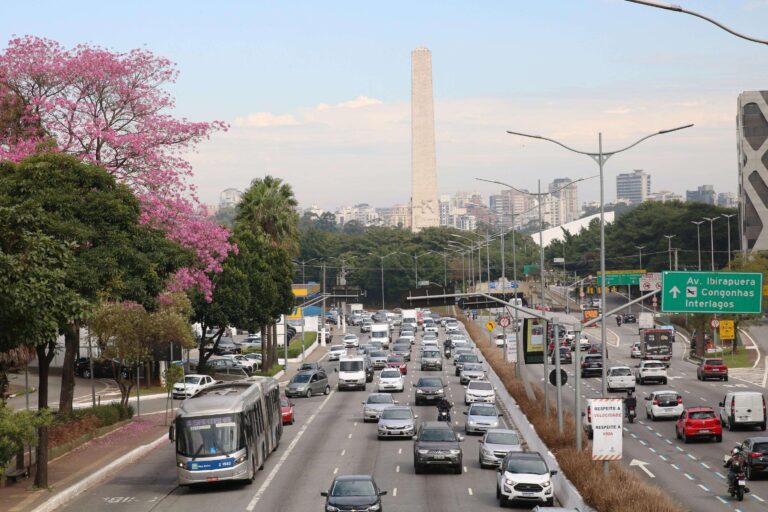 Cadastro positivo de motoristas: saiba quem pode se inscrever