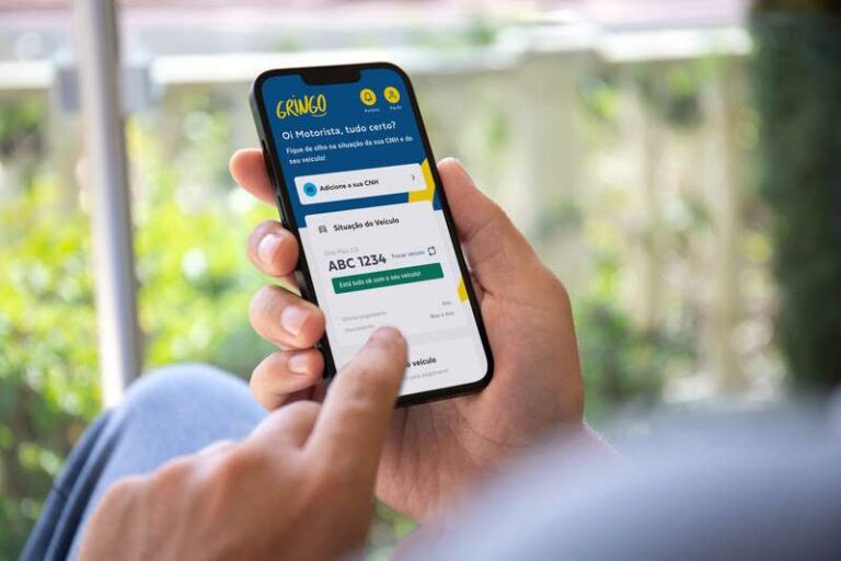 IPVA 2024: Gringo informa os prazos e descontos em cada Estado
