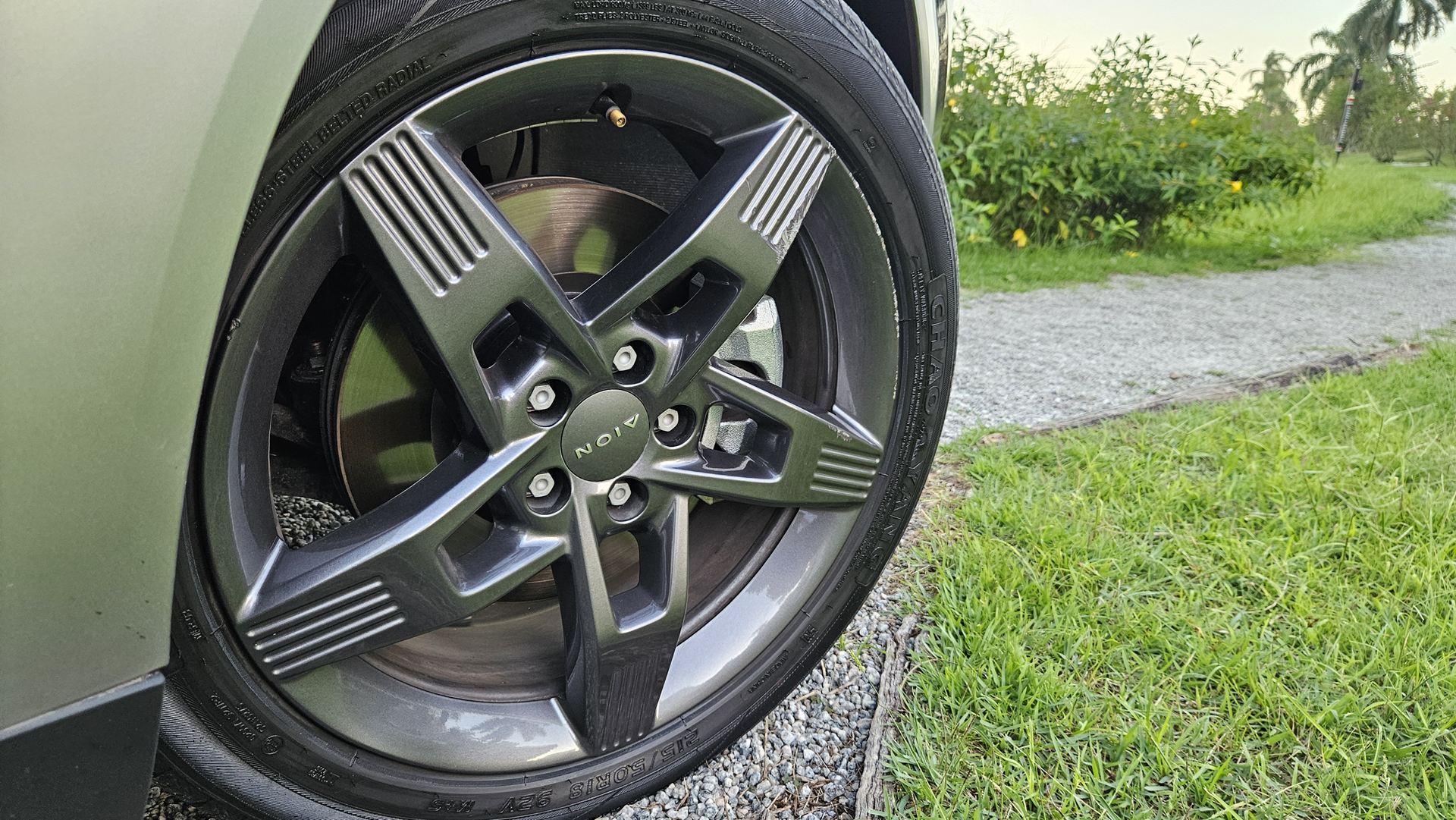 Imagem de uma roda de carro com pneus e aro escuro, instalada em um veículo, com grama e flores ao fundo.
