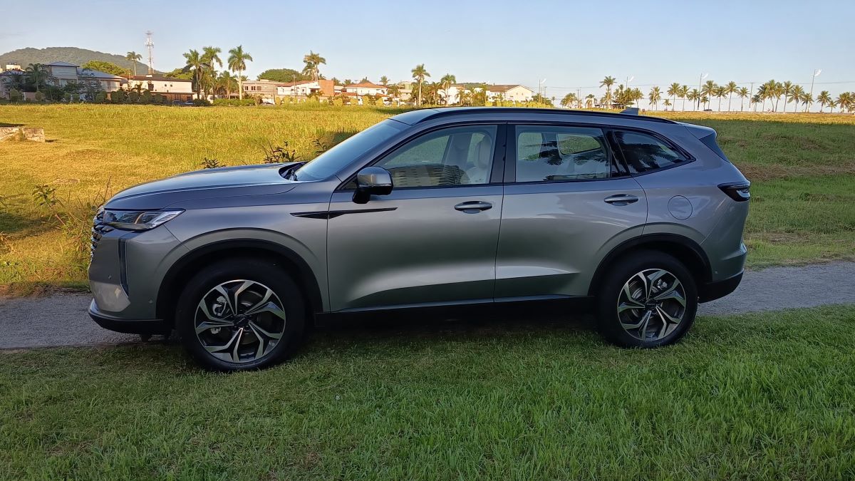 SUV cinza estacionado em uma área verde, com casas ao fundo e palmeiras.