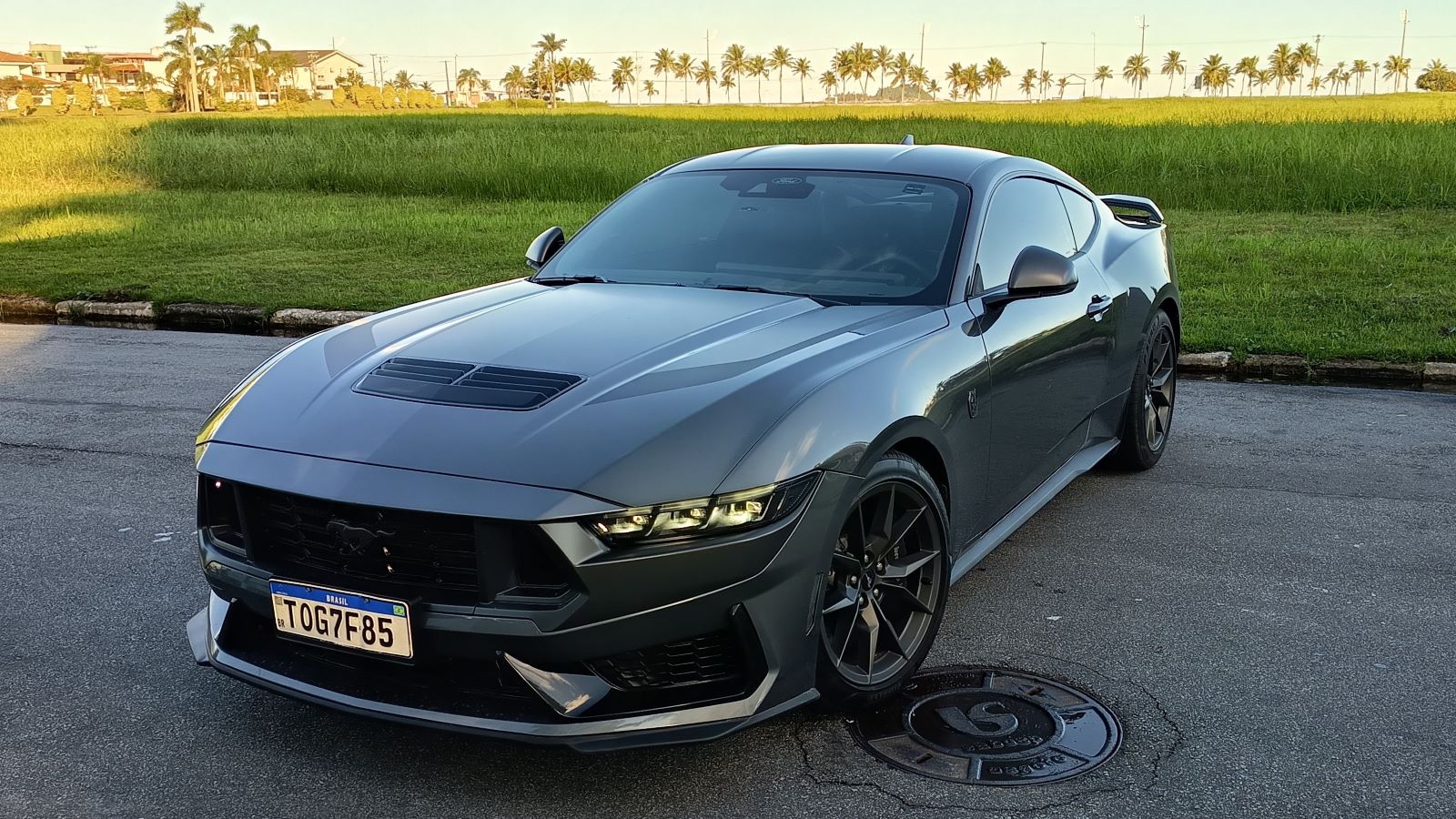 Um carro esportivo Ford Mustang cinza estacionado em uma rua, com grama verde e palmeiras ao fundo.